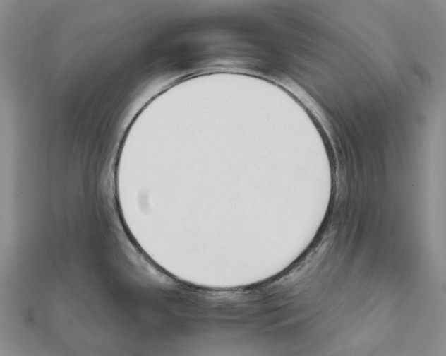 X0000111451341200908241157