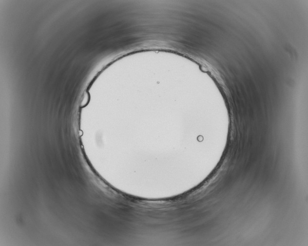 X0000111451342200908241157