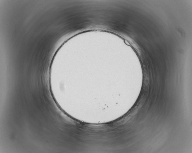 X0000111451343200908241157