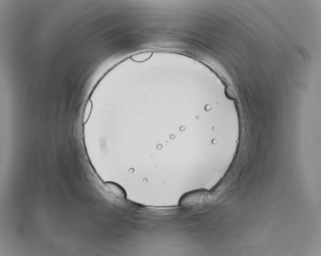 X0000111451344200908241157