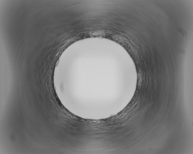 X0000111451345200908241157