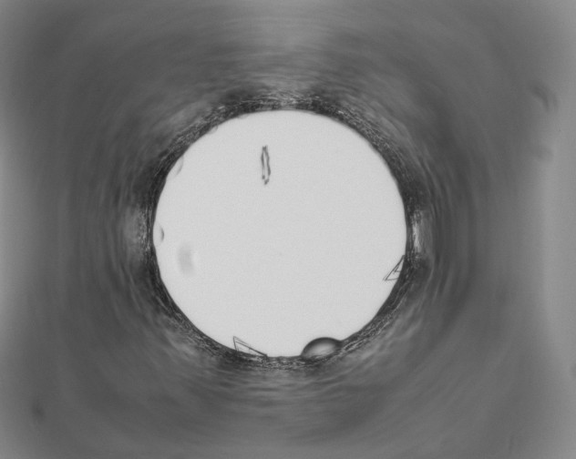 X0000111451347200908241157