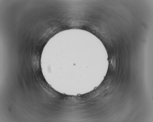 X0000111451348200908241157