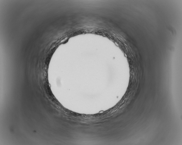 X0000111451349200908241157