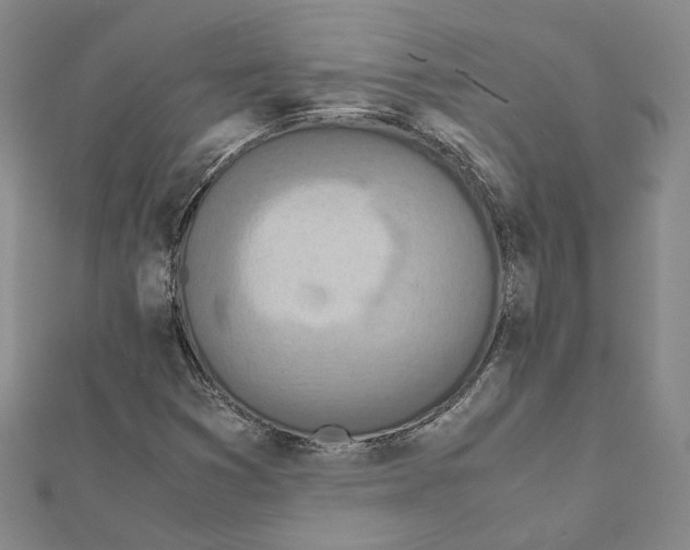 X0000111451353200908241157