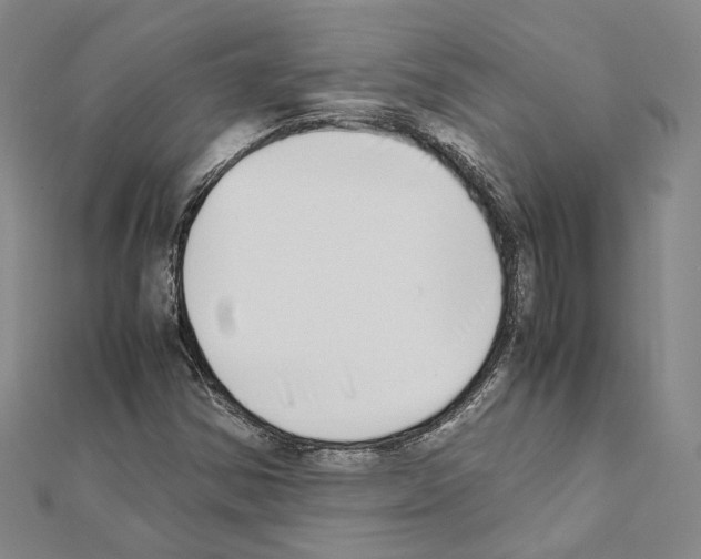 X0000111451354200908241157
