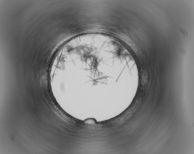X0000111451356200908241157