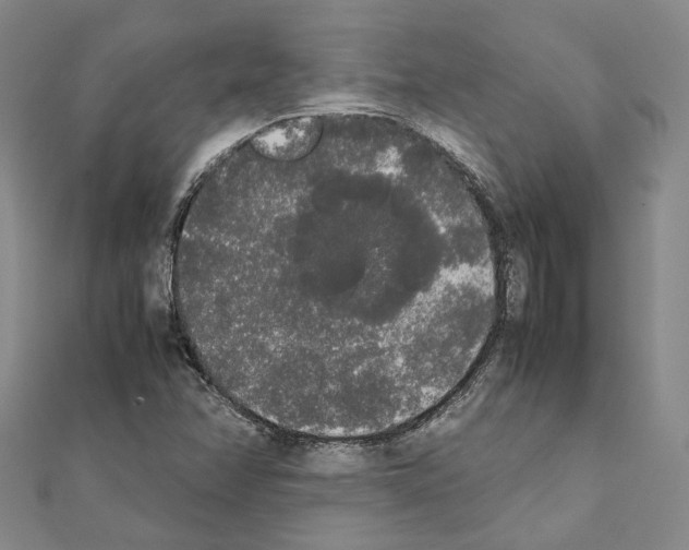 X0000111451358200908241157