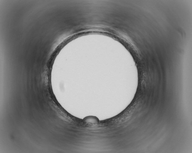 X0000111451360200908241157