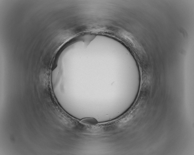 X0000111451361200908241157