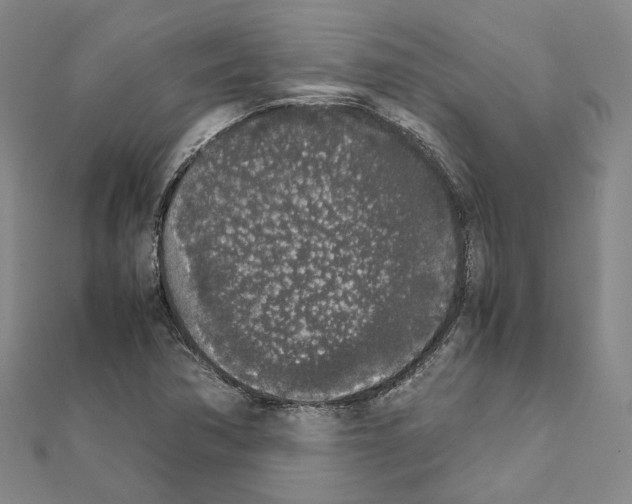 X0000111451362200908241157