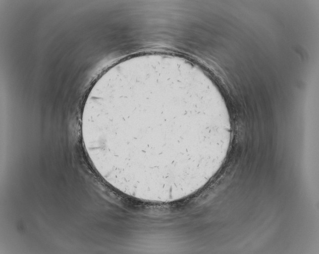 X0000111451363200908241156