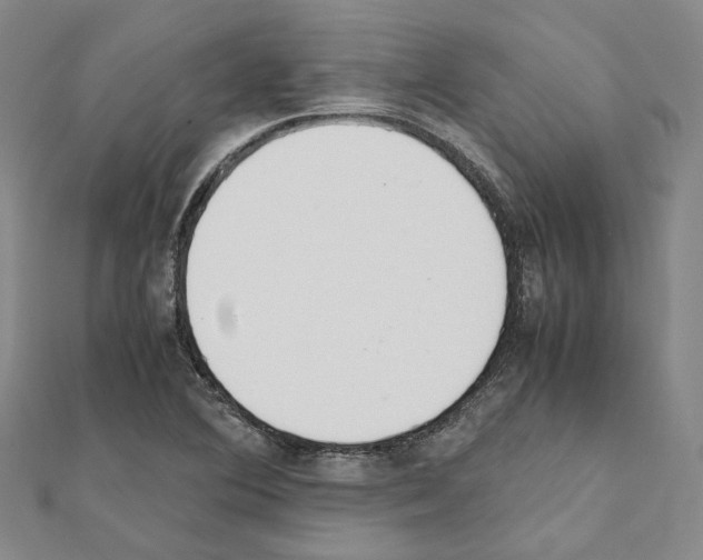 X0000111451364200908241156