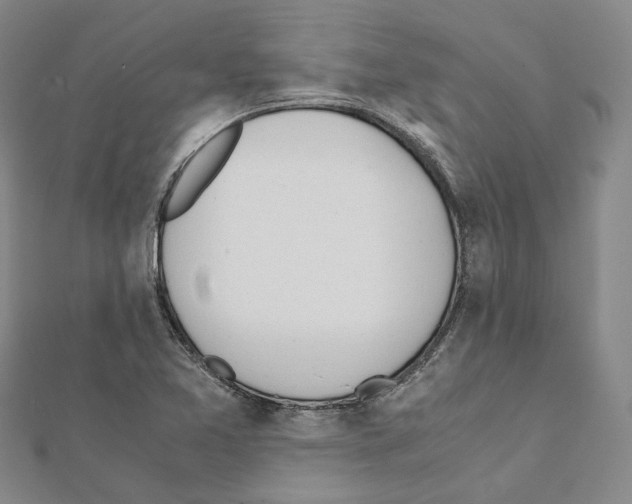 X0000111451365200908241156