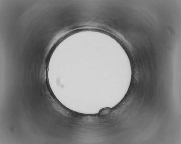 X0000111451368200908241156