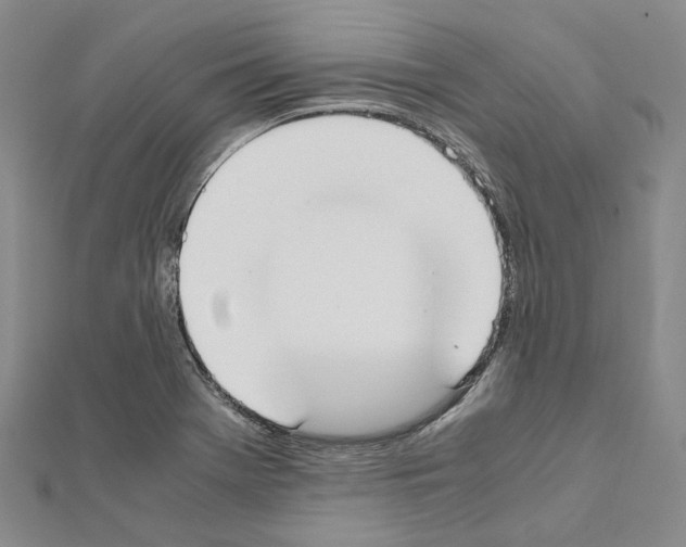 X0000111451369200908241156