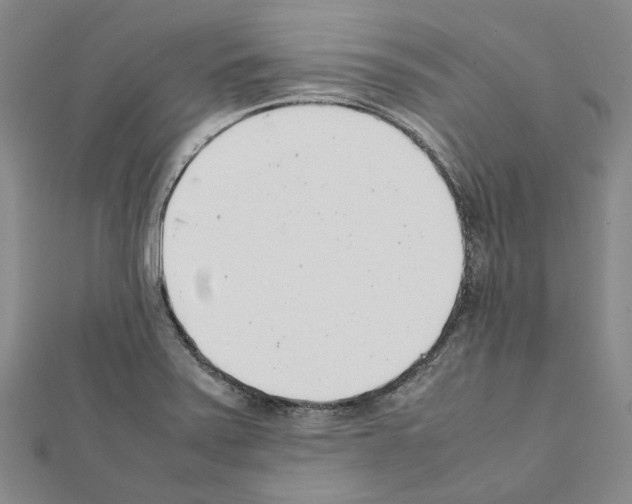 X0000111451371200908241156