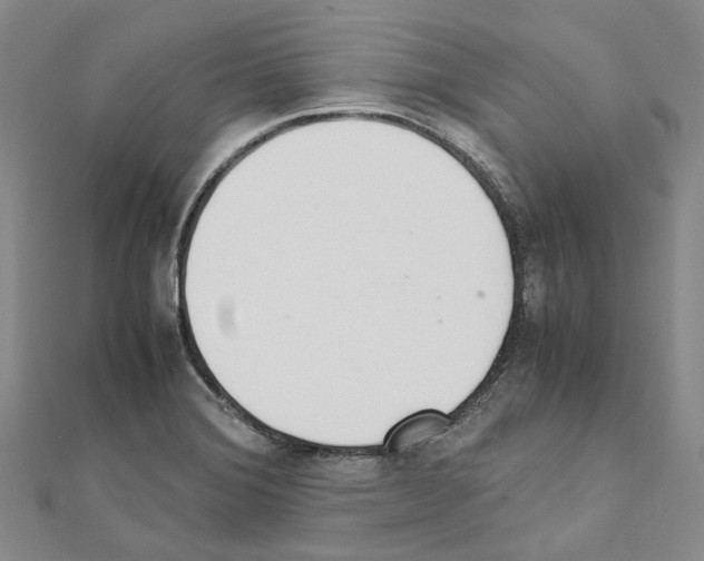 X0000111451372200908241156