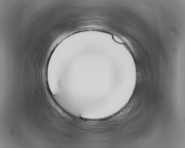 X0000111451373200908241156