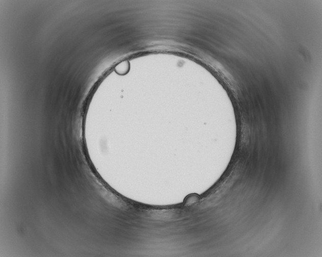 X0000111451376200908241156
