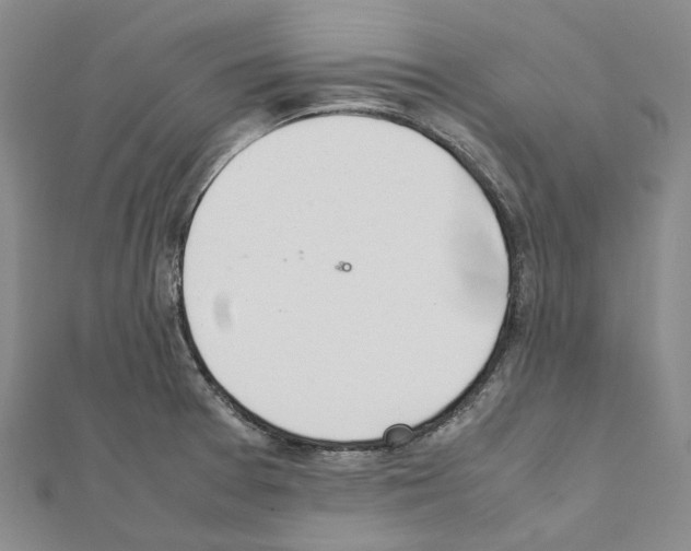 X0000111451377200908241156