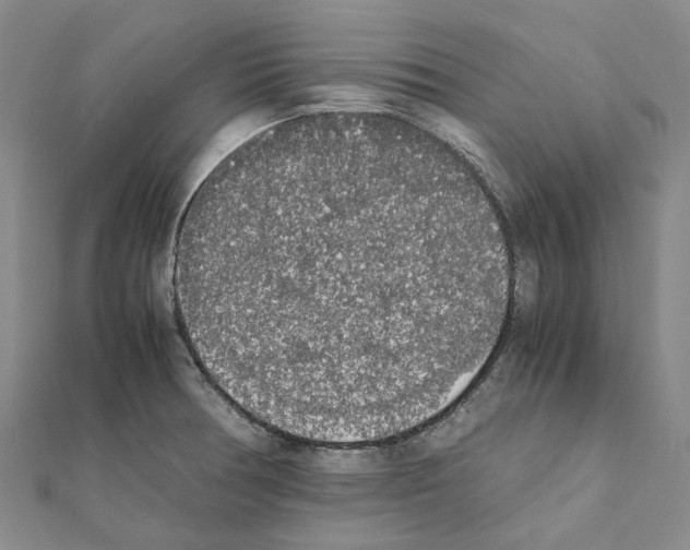 X0000111451378200908241156