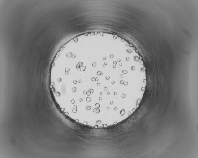 X0000111451379200908241156