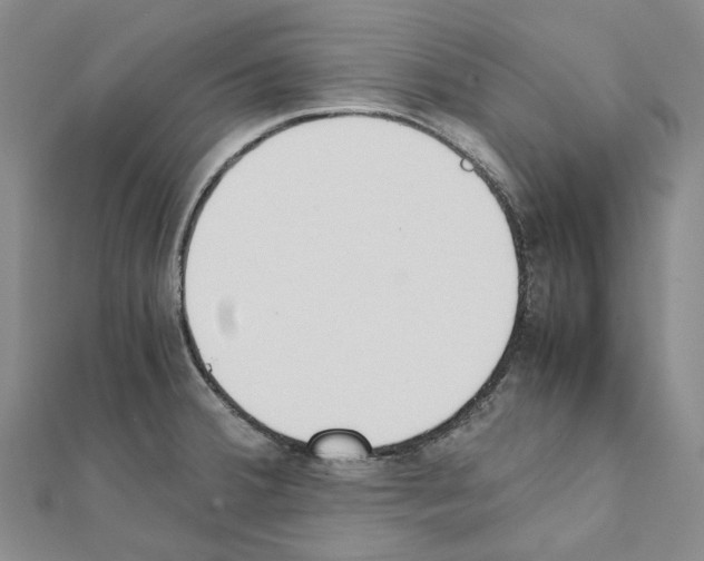 X0000111451380200908241156