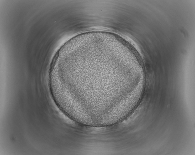 X0000111451381200908241156