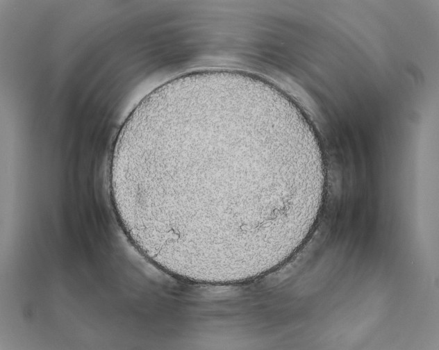 X0000111451382200908241156