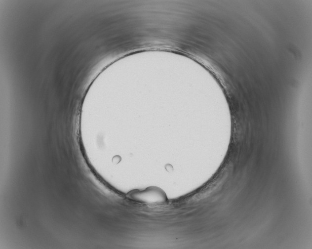 X0000111451383200908241156