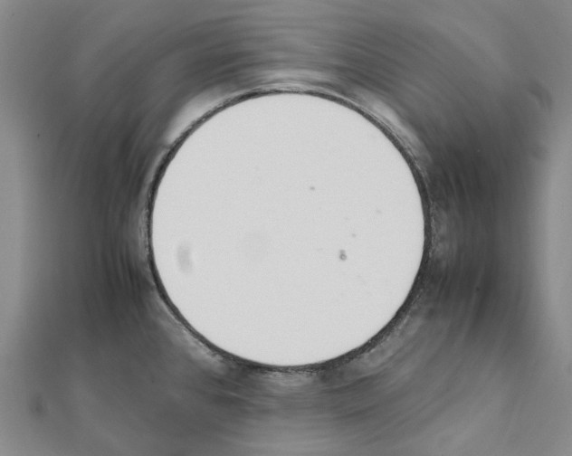 X0000111451384200908241156