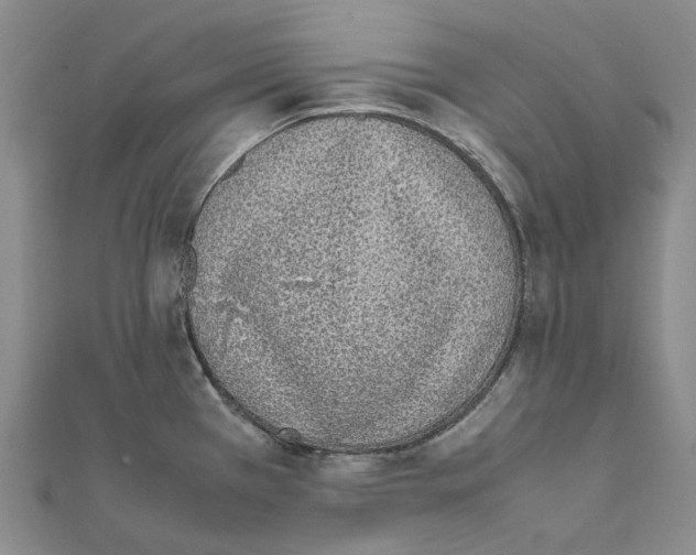 X0000111451385200908241156