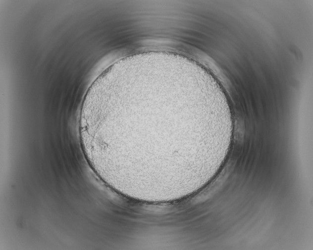 X0000111451386200908241156