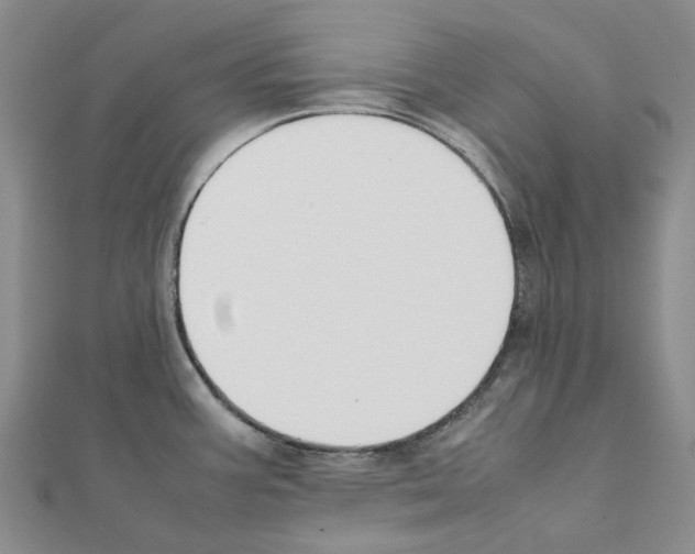 X0000111451387200908241156