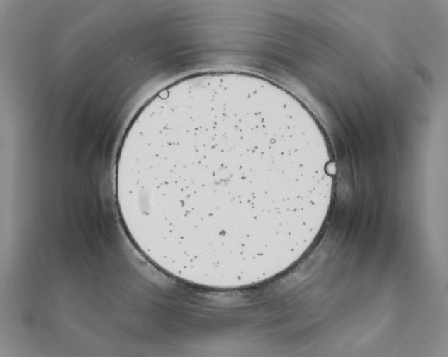 X0000111451388200908241156