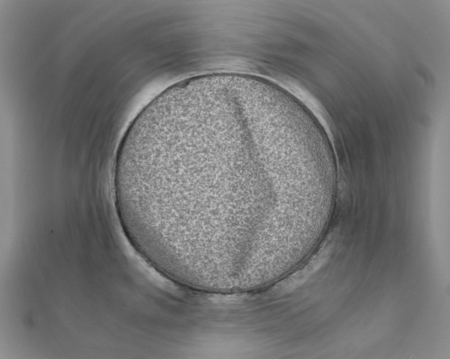 X0000111451389200908241156