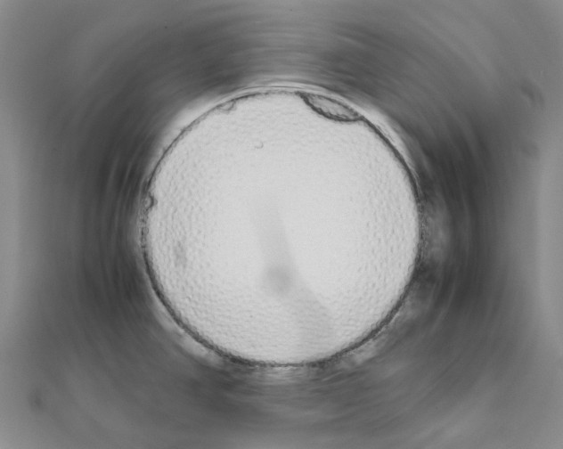 X0000111451390200908241156
