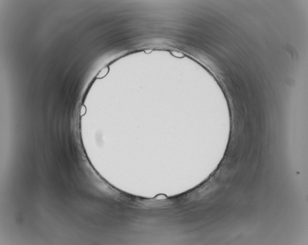 X0000111451392200908241156