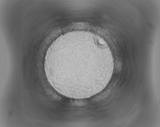 X0000111451393200908241155