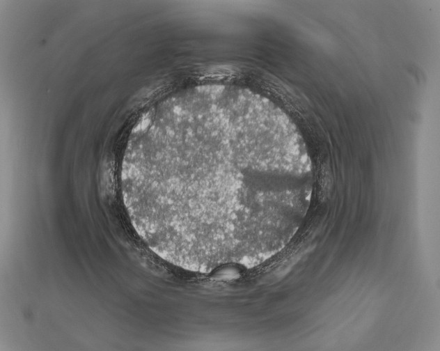 X0000111451394200908241155