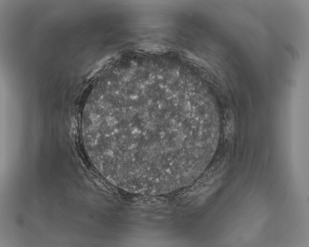 X0000111451397200908241155