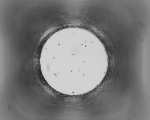 X0000111451400200908241155