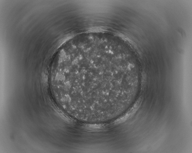 X0000111451401200908241155