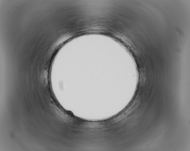 X0000111451402200908241155