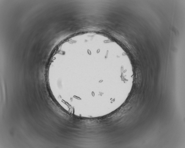 X0000111451404200908241155