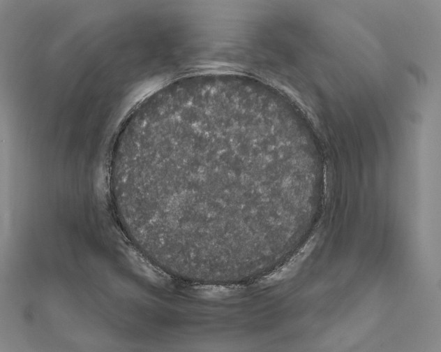 X0000111451405200908241155