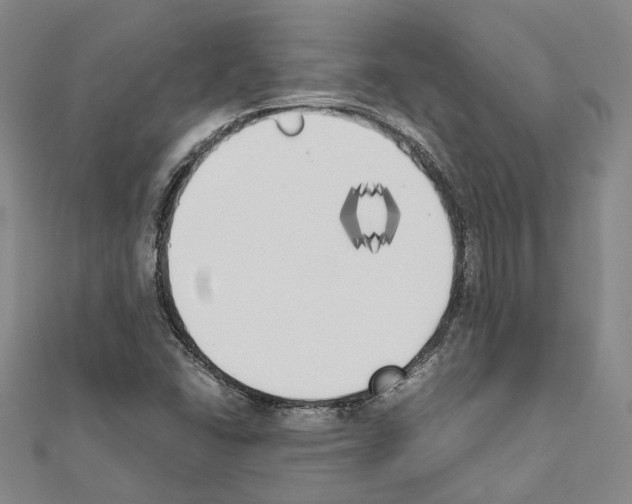 X0000111451406200908241156