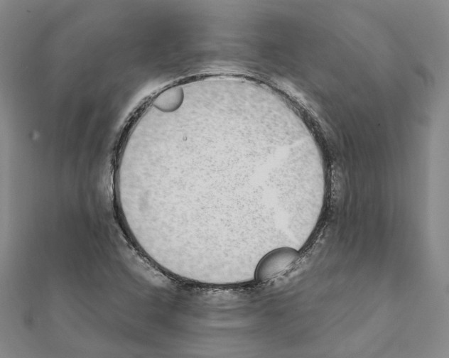 X0000111451408200908241156