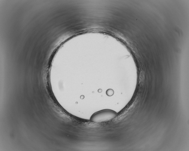 X0000111451410200908241156